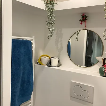 Charming Refurbished Cocoon With Swimming Pool Apartment Cannes